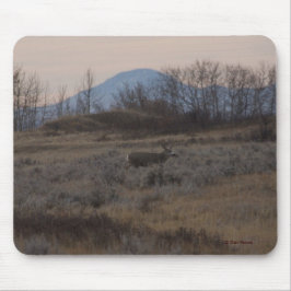 D12 Mule Deer Buck and Sweet Grass Hills Mousepad