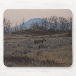 D12 Mule Deer Buck and Sweet Grass Hills Mousepad