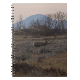D12 Mule Deer Buck and Sweet Grass Hills Notizblock