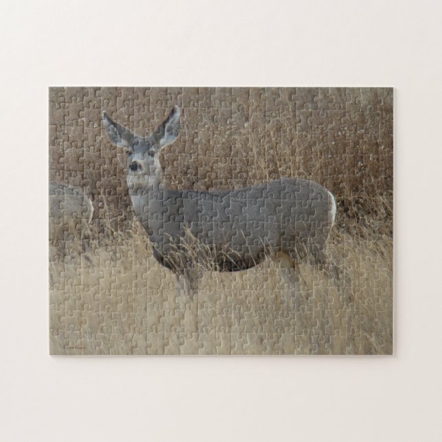 D14 Mule Deer Doe (Horizontal)