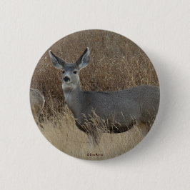 D14 Mule Deer Doe Button