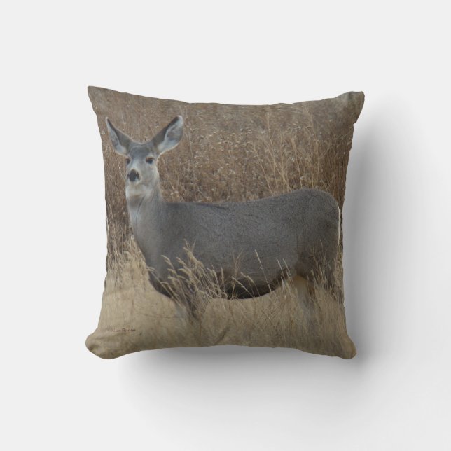 D14 Mule Deer Doe Kissen (Vorderseite)