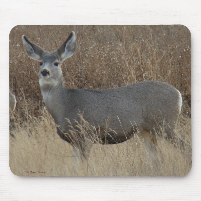 D14 Mule Deer Doe Mousepad (Vorne)