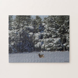D17 Maultierhirsch im Schnee