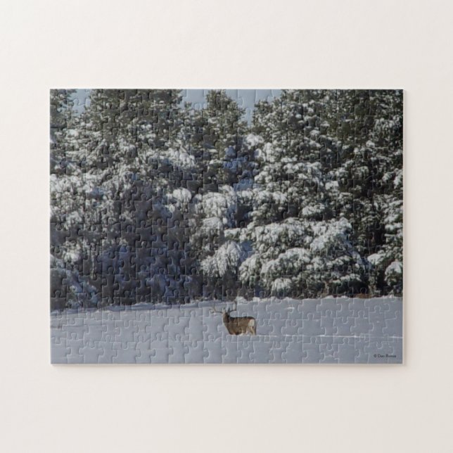 D17 Mule Deer in Snow (Horizontal)