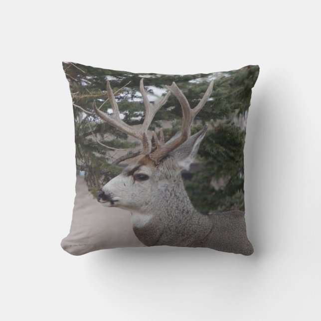 D25 Mule Deer Buck Kissen (Vorderseite)