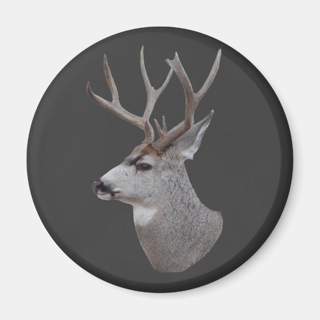 D27 Mule Deer Buck Head Magnet (Vorne)