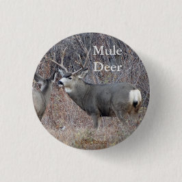 D29 Mule Deer Button