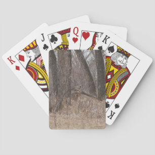 D2 Weißwedelhirsche in Cottonwood-Bäumen Spielkarten