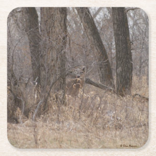D2 Weißwedelhirsche in Cottonwoods Rechteckiger Pappuntersetzer