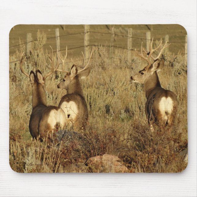 D30 Mule Deer Bucks Mousepad (Vorne)