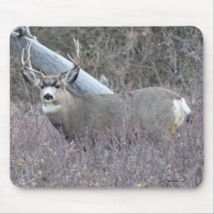 D32 Maultierhirsch Bock Mousepad