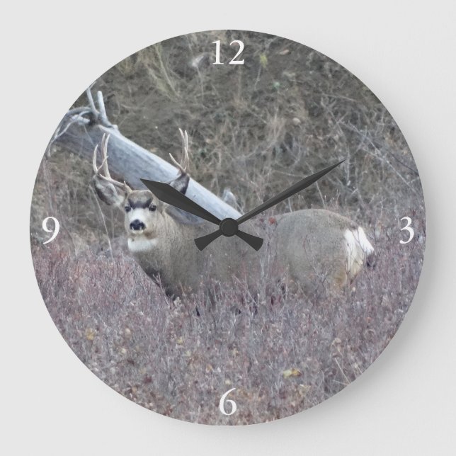 D32 Mule Deer Buck Große Wanduhr (Vorderseite)
