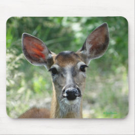 D33 Weißschwanz-Hirschknotenpad Mousepad