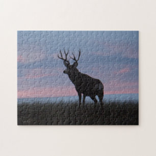 D3 Maultierhirsch Sonnenaufgang Bock