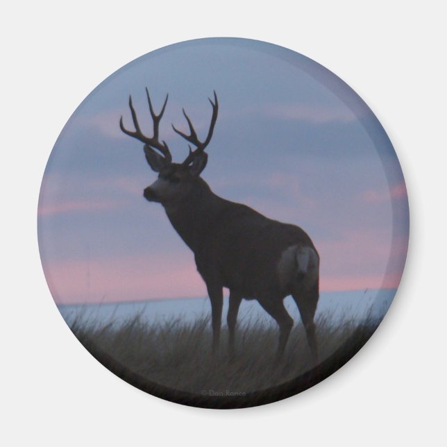 D3 Mule Dee Sunrise Buck Magnet (Vorne)