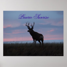 D3 Mule Dee Sunrise Buck Poster