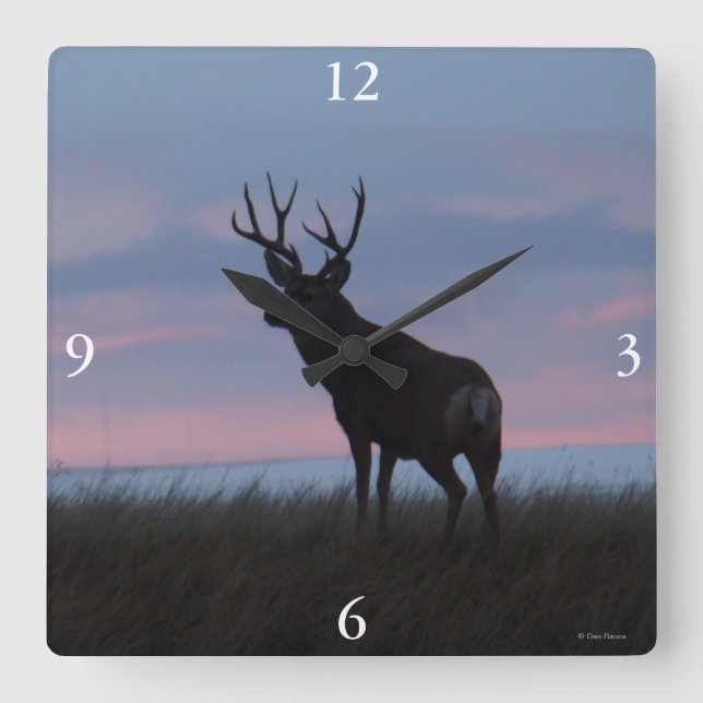 D3 Mule Deer Buck Sunrise Buck Quadratische Wanduhr (Vorderseite)