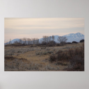 D4 Maultierhirsch Sweet Grass Hills Poster
