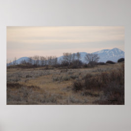 D4 Mule Deer Sweet Grass Hills Poster