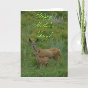 D5 Mule Deer Doe and Fawn Karte