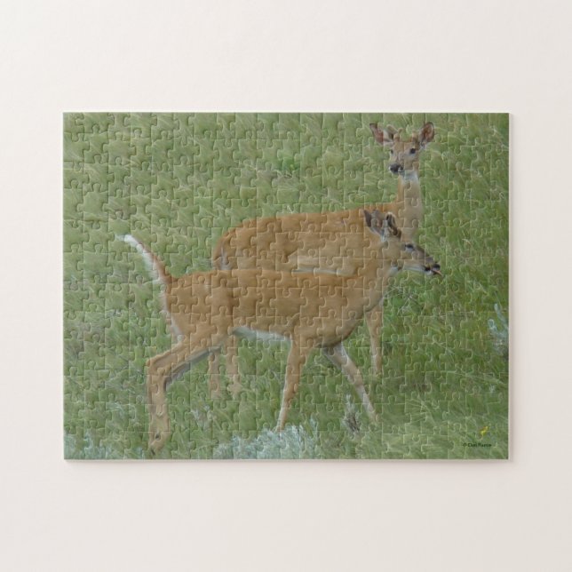 D6 Weißschwanzbucks für Hirsche (Horizontal)