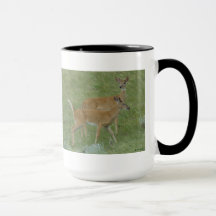 D6 Weißschwanzbucks für Hirsche