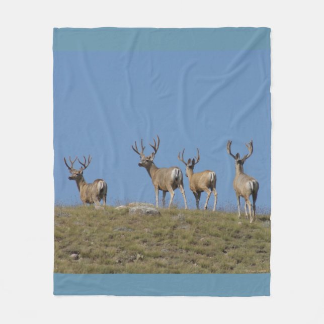 D9 Mule Deer Bucks in Velvet Sky Lined Fleecedecke (Vorderseite)