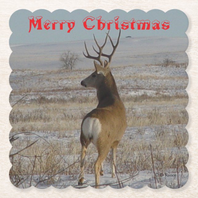 D 20 Mule Deer Buck in Snow Coaster Untersetzer (Vorderseite)