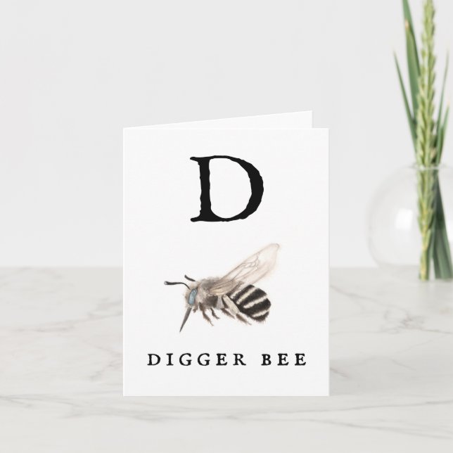 "D" Digger Bee (Vorderseite)