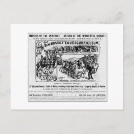 D. M. Bristols Equescurriculum Ad Postkarte