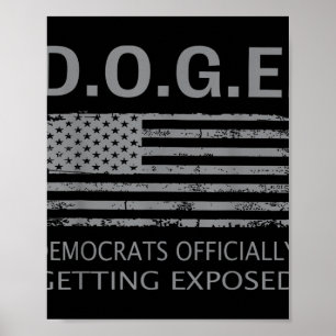 D.o.g.e Doge-Demokraten werden offiziell exponiert Poster