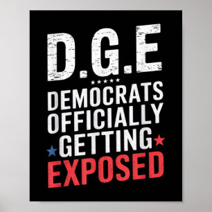 D.o.g.e Doge Government Satire American Flag Poster