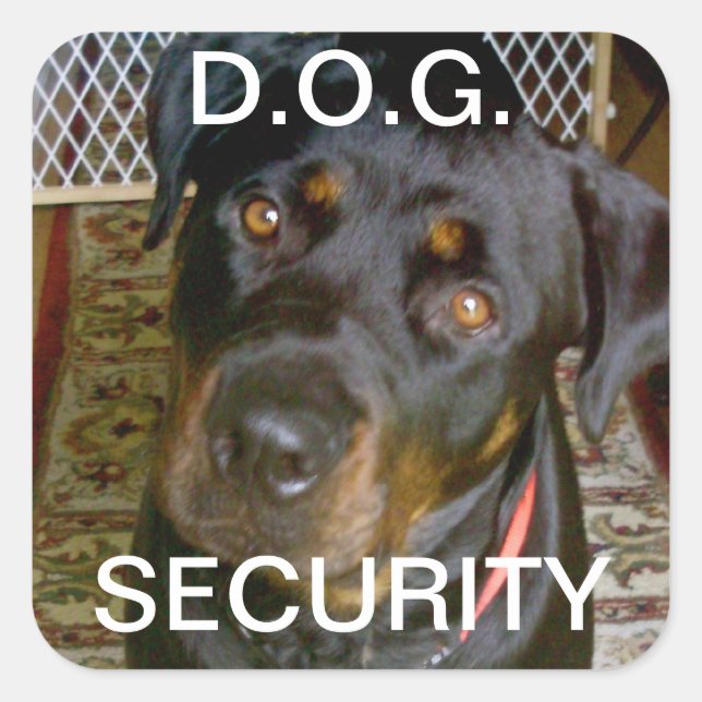 D.O.G. SECURITY Sticker (Rottweiler) (Vorderseite)