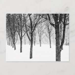 da ich mich auf die Seite der Bäume stelle Postkarte