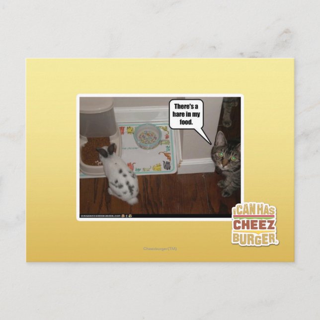 Da ist ein Hase in meinem Essen. Postkarte (Vorderseite)