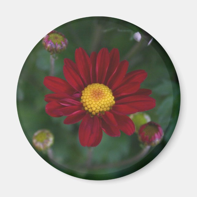 Da ist eine Mutter in der Luft.. Magnet (Vorne)