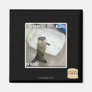 Da? Ist kalt! Magnet