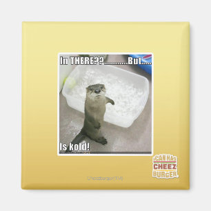 Da? Ist kalt! Magnet