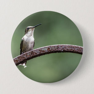 Da Little Hummingbird Button