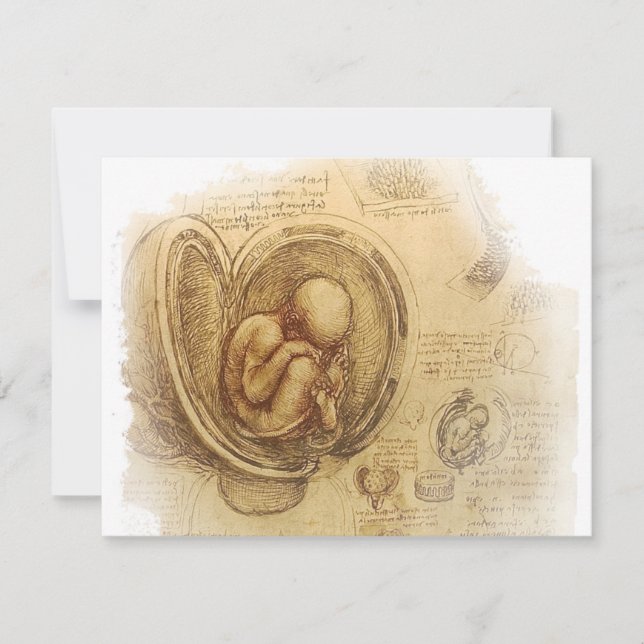 da Vinci - Embryo-Skizze (Vorderseite)