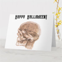 Da Vinci Halloween Science Anatomie Skull Print