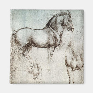 Da Vinci Horse Study Renaissance Sketch Kunst, Dic Magnet