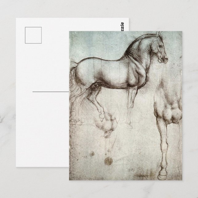 Da Vinci Horse Study Renaissance Sketch Kunst, Dic Postkarte (Vorne/Hinten)