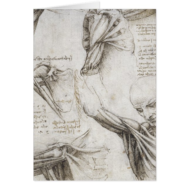 Da Vinci, Leonardo - étude de l'anatomie (Devant)