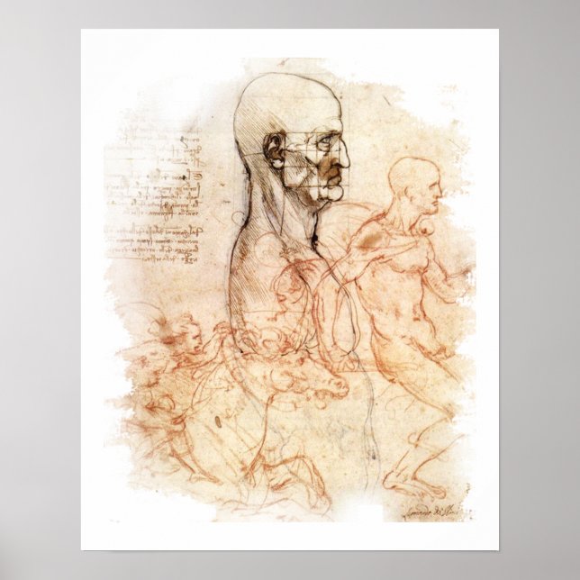 da Vinci - Mensch und Pferd Poster (Vorne)