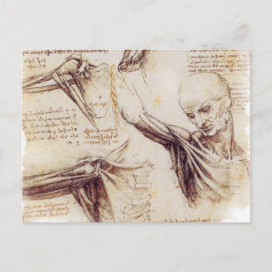 da Vinci -- Schulter-Skizze Postkarte