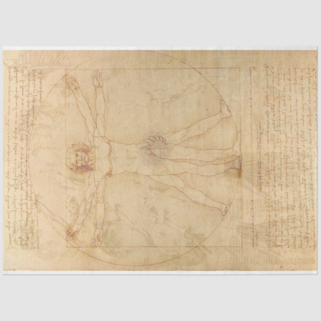 Da Vinci Vitruvian Man Decoupage Seidenpapier (Vorderseite)