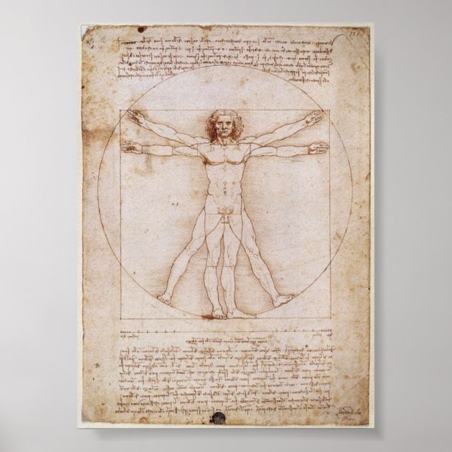 Da Vinci: Vitruvian Man Poster (Vorne)