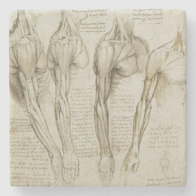 Da Vincis menschliche Arm-Anatomie Steinuntersetzer (Vorderseite)
